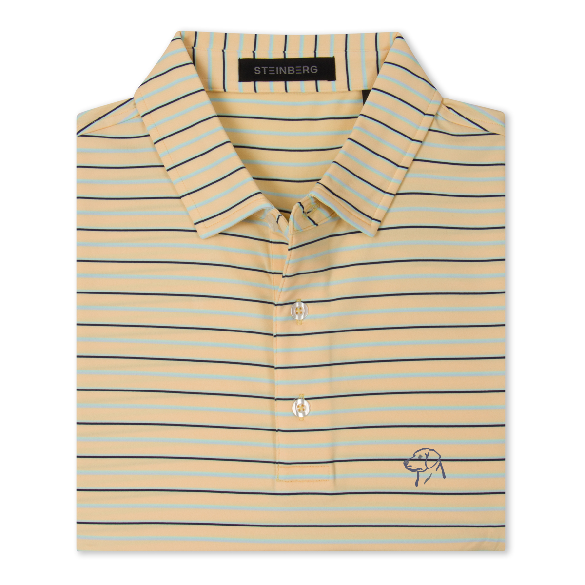 The Tee Time Stripe Polo