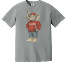 The Alabama Stadium Grey Comfort Tee - Steinberg Brand