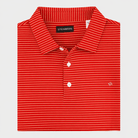 The Birdie Blaze Lab Polo - Steinberg Brand