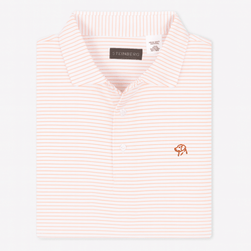 The Lowcountry Stripe Lab Polo - Steinberg Brand