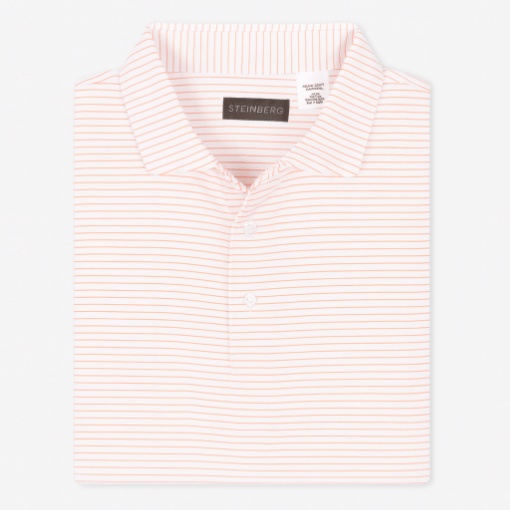 The Lowcountry Stripe Polo - Steinberg Brand