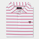 The Sideline Stripe VSU Polo - Steinberg Brand